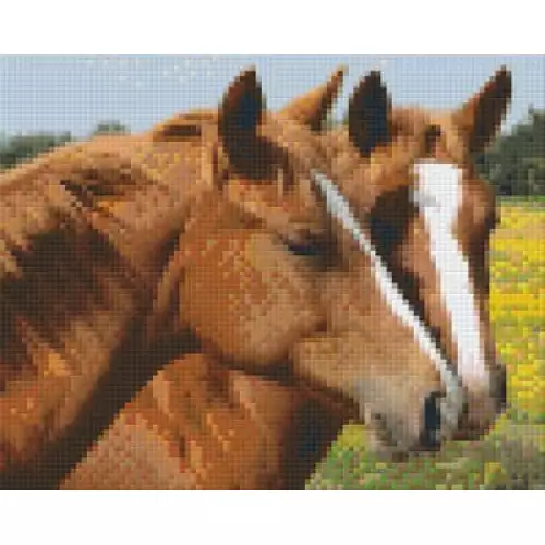pixelhobby Kit Chevaux